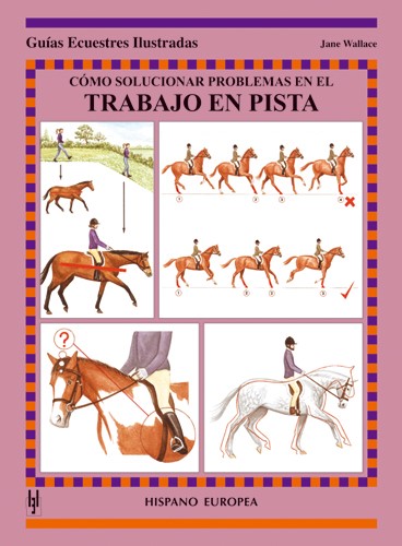 Cómo solucionar problemas en el trabajo en pista - Wallace, Jane